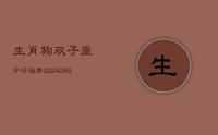 生肖狗双子座今日运势(20240621)