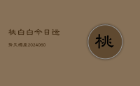 桃白白今日运势天蝎座(20240618)