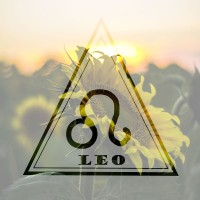 狮子座今日运势24点，狮子座今日运势查询