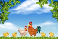 2025年属鸡人运势全解析：吉凶方位与化解指南