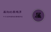 属狗的摩羯男今日运势，属狗的摩羯男运势今日查询