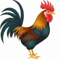 2025属鸡运势及运程每月运程：属鸡运程波动提醒