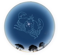 巨蟹座运势今日幸运数字(20240716)