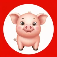 95年属猪25岁命运，1995年属猪25岁命运