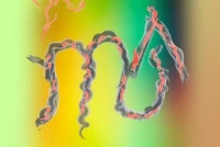 天蝎座今日运势全解析：揭秘幸运色的正确打开方式