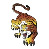 属虎人今日财运解析：3个旺财秘诀速看